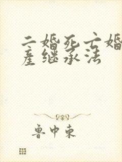 二婚死亡婚前遗产继承法