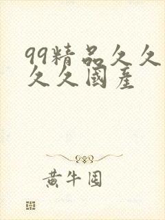 99精品久久久久久国产