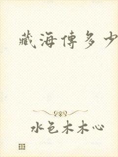 藏海传多少集了封面