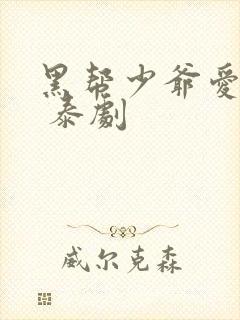 黑帮少爷爱上我 泰剧