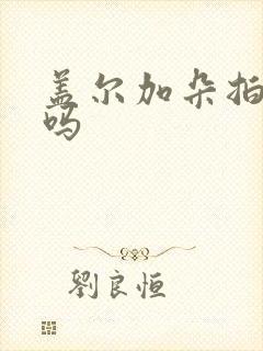 盖尔加朵拍过片吗