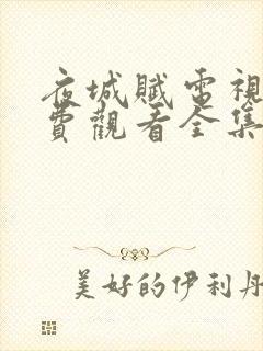 夜城赋电视剧免费观看全集完整版