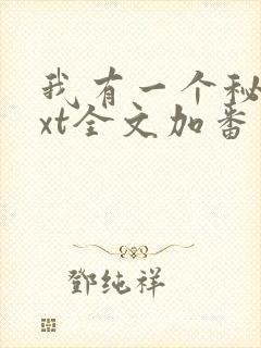 我有一个秘密txt全文加番外