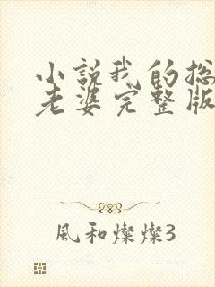 小说我的总裁大老婆完整版