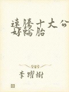 速腾十大公认最好轮胎