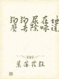 狗狗尿在地上怎么去除味道