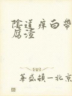 阴道痒白带呈豆腐渣