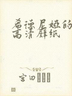 希德尼娅的骑士高清壁纸