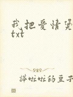我把爱情煲成汤txt