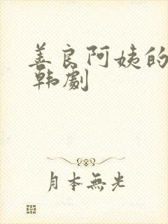 善良阿姨的秘密 韩剧