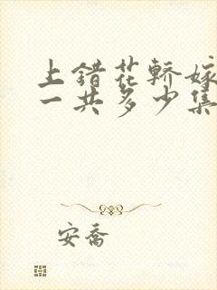 上错花轿嫁对郎一共多少集