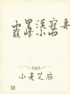 山里汉宠妻无度巅峰小雨