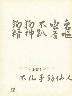 狗狗不吃东西没精神趴着呕吐