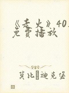 《走火》40集免费播放封面