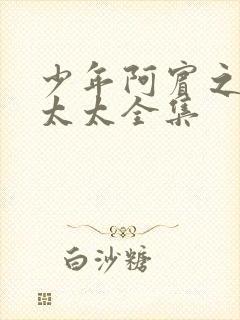 少年阿宾之房东太太全集