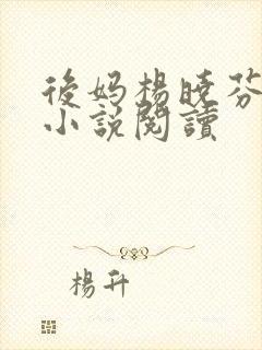 后妈杨晓芬王磊小说阅读封面