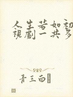 人生若如初见电视剧一共多少集