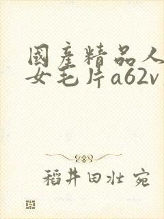 国产精品人妻熟女毛片a62v久久