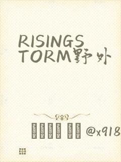 RISINGSTORM野外封面