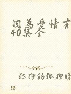 因为爱情有多美40集全