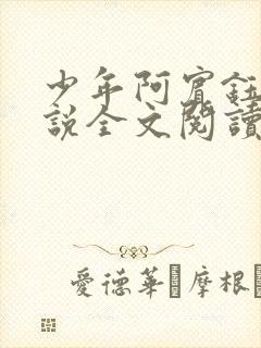 少年阿宾钰慧小说全文阅读目录