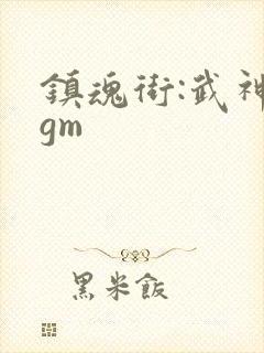 镇魂街:武神躯gm