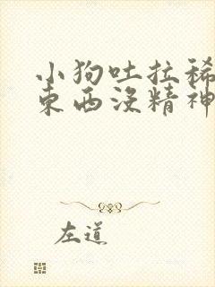 小狗吐拉稀不吃东西没精神怎么办封面