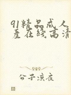 91精品成人国产在线高清播放