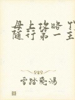 母上攻略 竹影随行第一主板封面