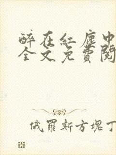 醉在红尘中小说全文免费阅读封面