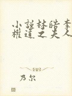 小说林皓李静怡权道之夫人们