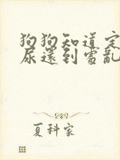 狗狗知道定点拉尿还到处乱拉