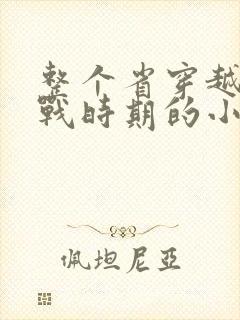 整个省穿越到抗战时期的小说