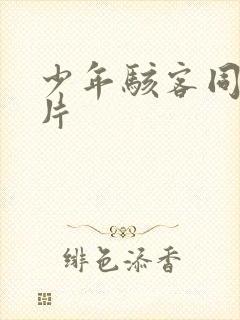 少年骇客同人黄片