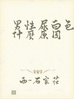 男性尿白色液体什么原因封面