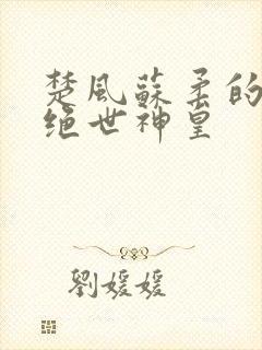 楚风苏柔的小说绝世神皇封面