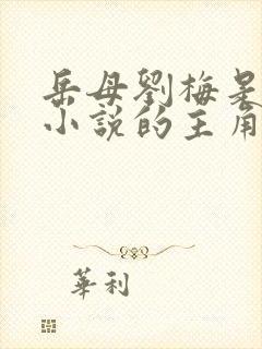 岳母刘梅是哪个小说的主角