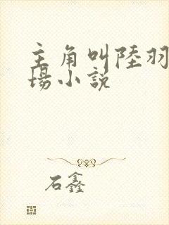 主角叫陆羽的官场小说