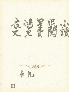 夜鸿星眠小说全文免费阅读封面