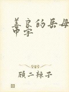 善良的岳母电影中字