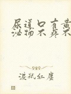 尿道口有黄色分泌物不疼不痒封面