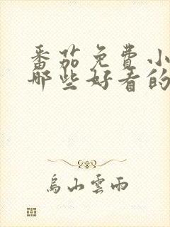 番茄免费小说有哪些好看的小说