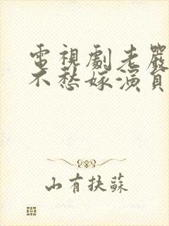 电视剧老严有女不愁嫁演员表封面