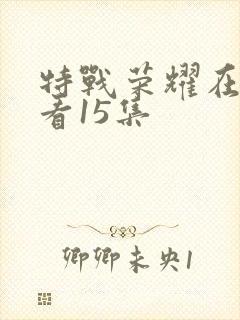 特战荣耀在线观看15集