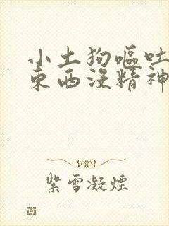 小土狗呕吐不吃东西没精神怎么办