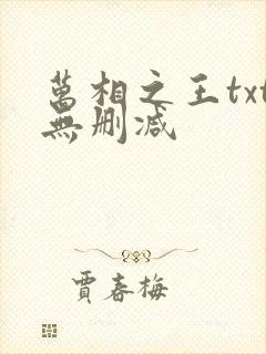 万相之王txt无删减封面