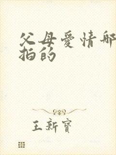 父母爱情哪一年拍的