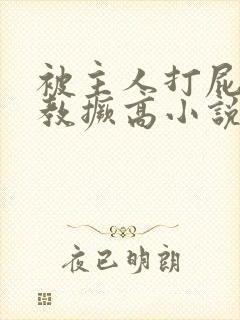 被主人打屁股调教撅高小说