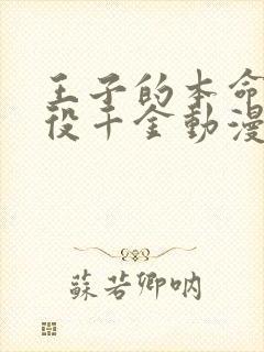 王子的本命是恶役千金动漫在线观看全集