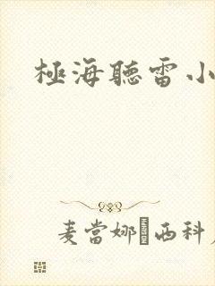 极海听雷小说封面